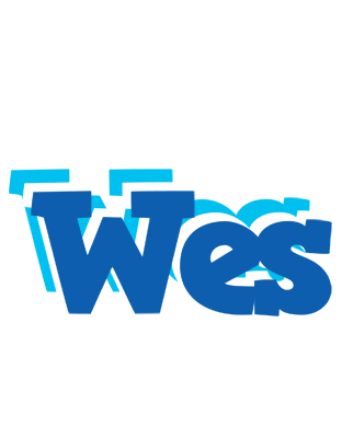 Wes business logo