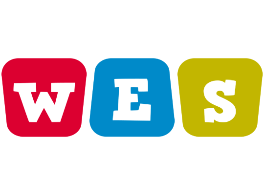 Wes kiddo logo