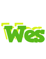 Wes picnic logo