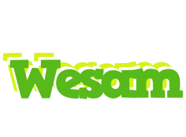 Wesam picnic logo