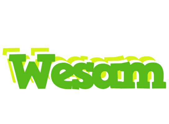 Wesam picnic logo