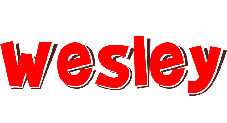 Wesley basket logo