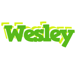 Wesley picnic logo