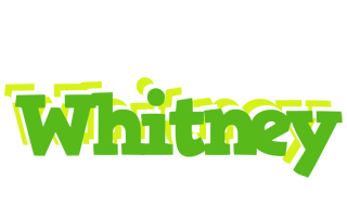 Whitney picnic logo