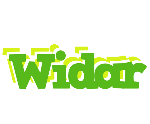 Widar picnic logo