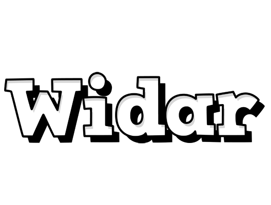 Widar snowing logo