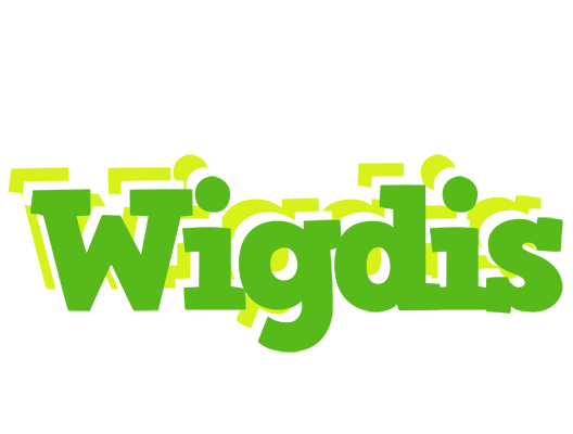Wigdis picnic logo