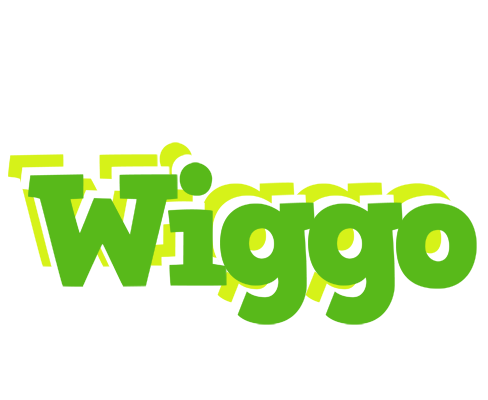 Wiggo picnic logo
