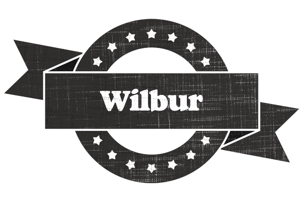 Wilbur grunge logo