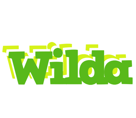 Wilda picnic logo