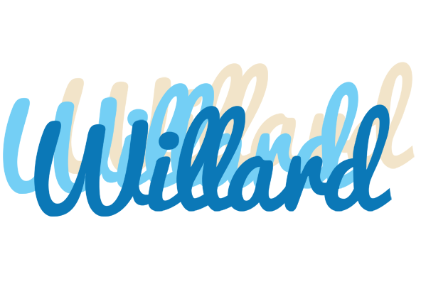 Willard breeze logo