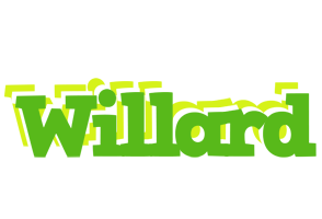 Willard picnic logo