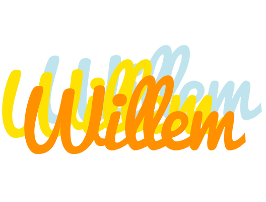Willem energy logo