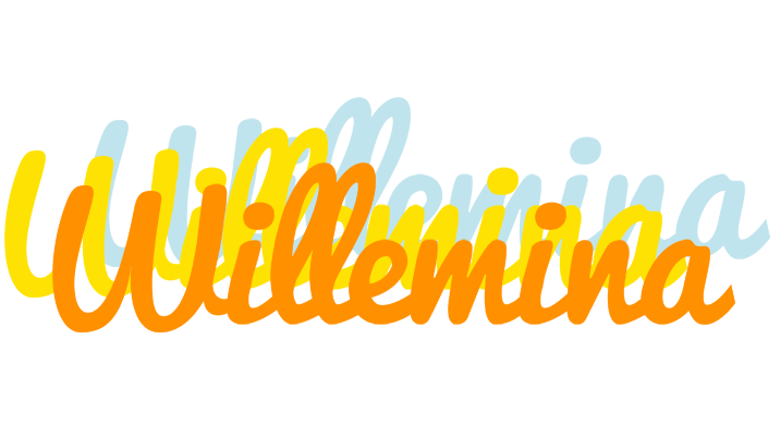 Willemina energy logo