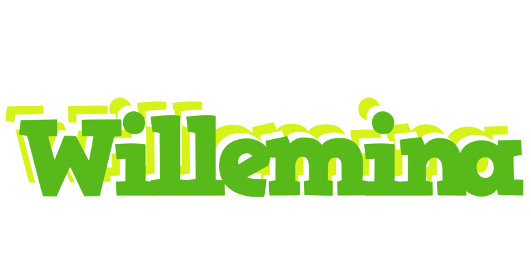 Willemina picnic logo