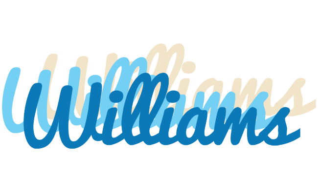 Williams breeze logo
