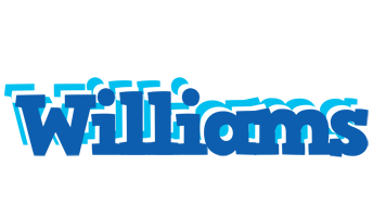 Williams business logo