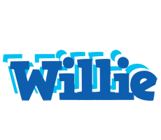 Willie business logo