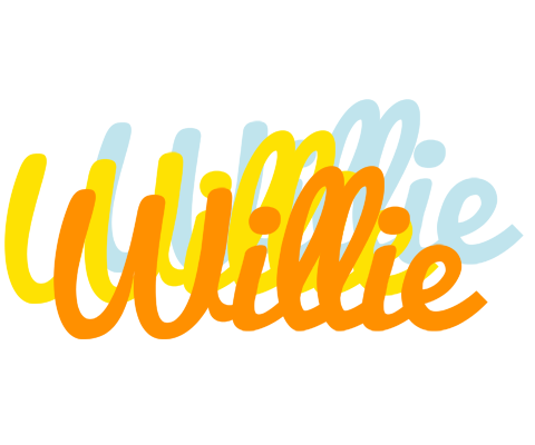 Willie energy logo