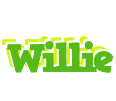 Willie picnic logo