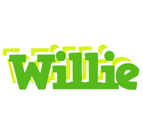 Willie picnic logo