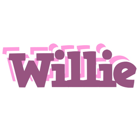Willie relaxing logo