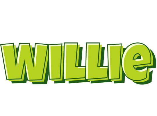 Willie summer logo