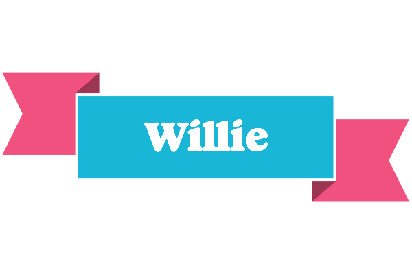 Willie today logo