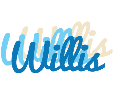 Willis breeze logo