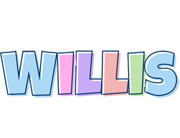 Willis pastel logo