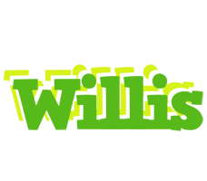 Willis picnic logo