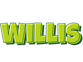 Willis summer logo