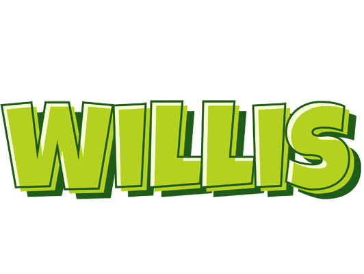 Willis summer logo