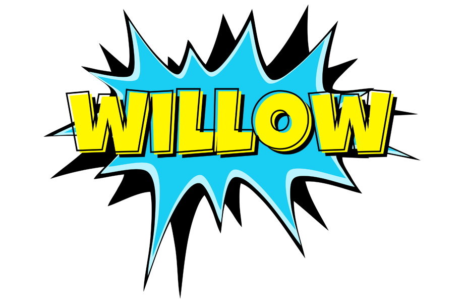 Willow amazing logo