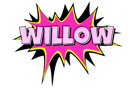 Willow badabing logo