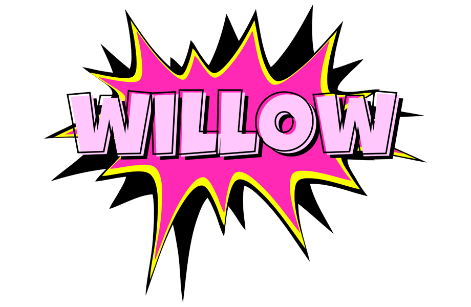 Willow badabing logo