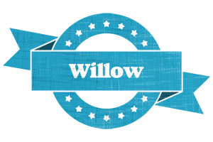 Willow balance logo