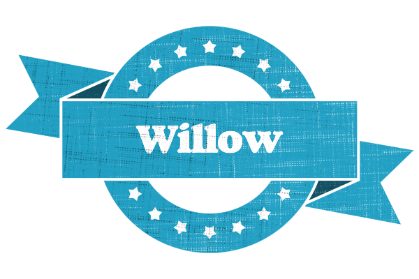 Willow balance logo