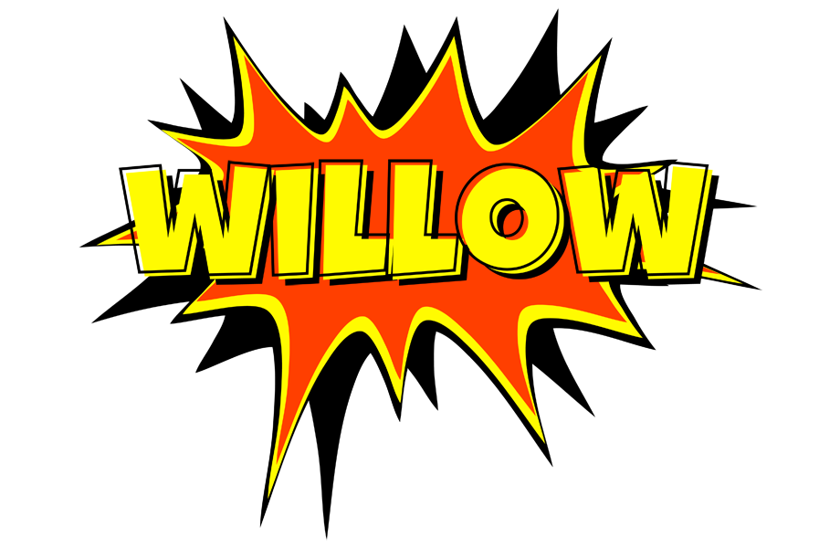 Willow bazinga logo