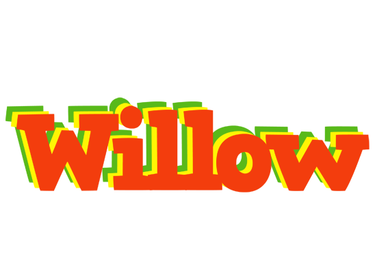 Willow bbq logo
