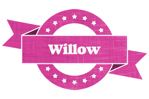Willow beauty logo