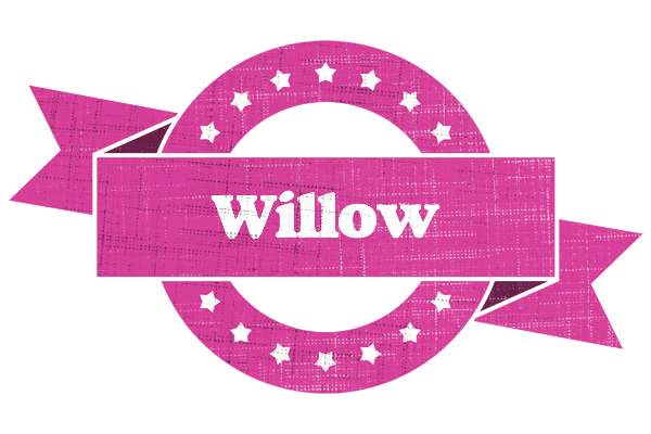 Willow beauty logo