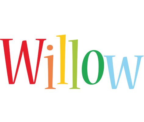 Willow birthday logo