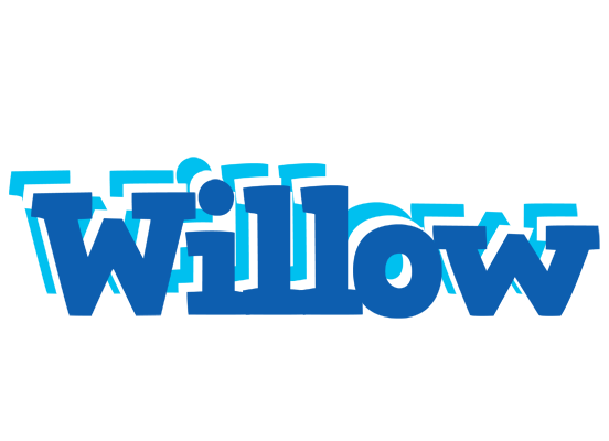Willow business logo
