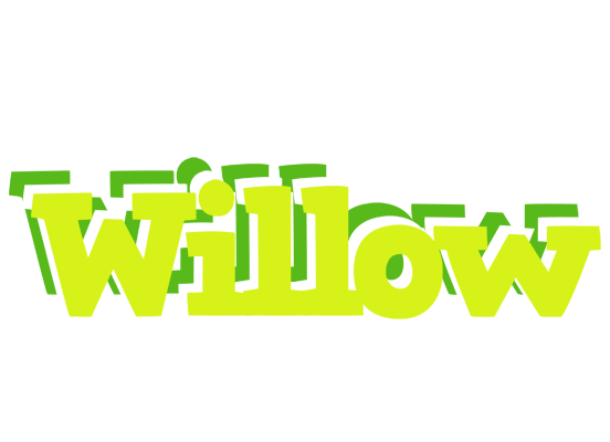 Willow citrus logo