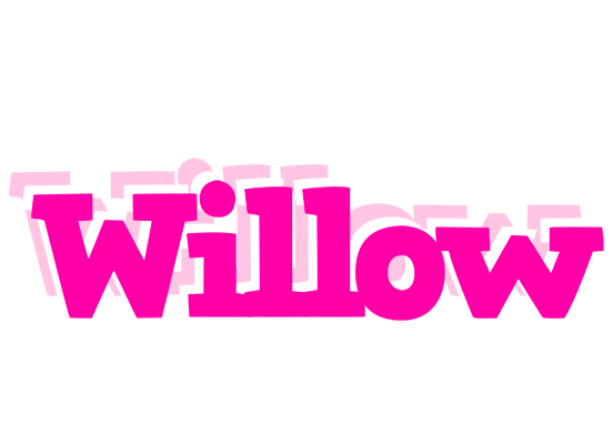 Willow dancing logo