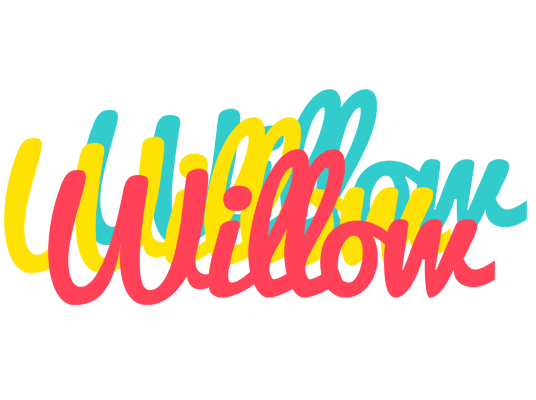 Willow disco logo