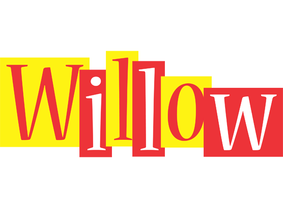 Willow errors logo