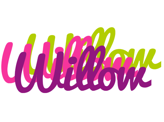 Willow flowers logo