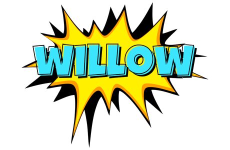 Willow indycar logo